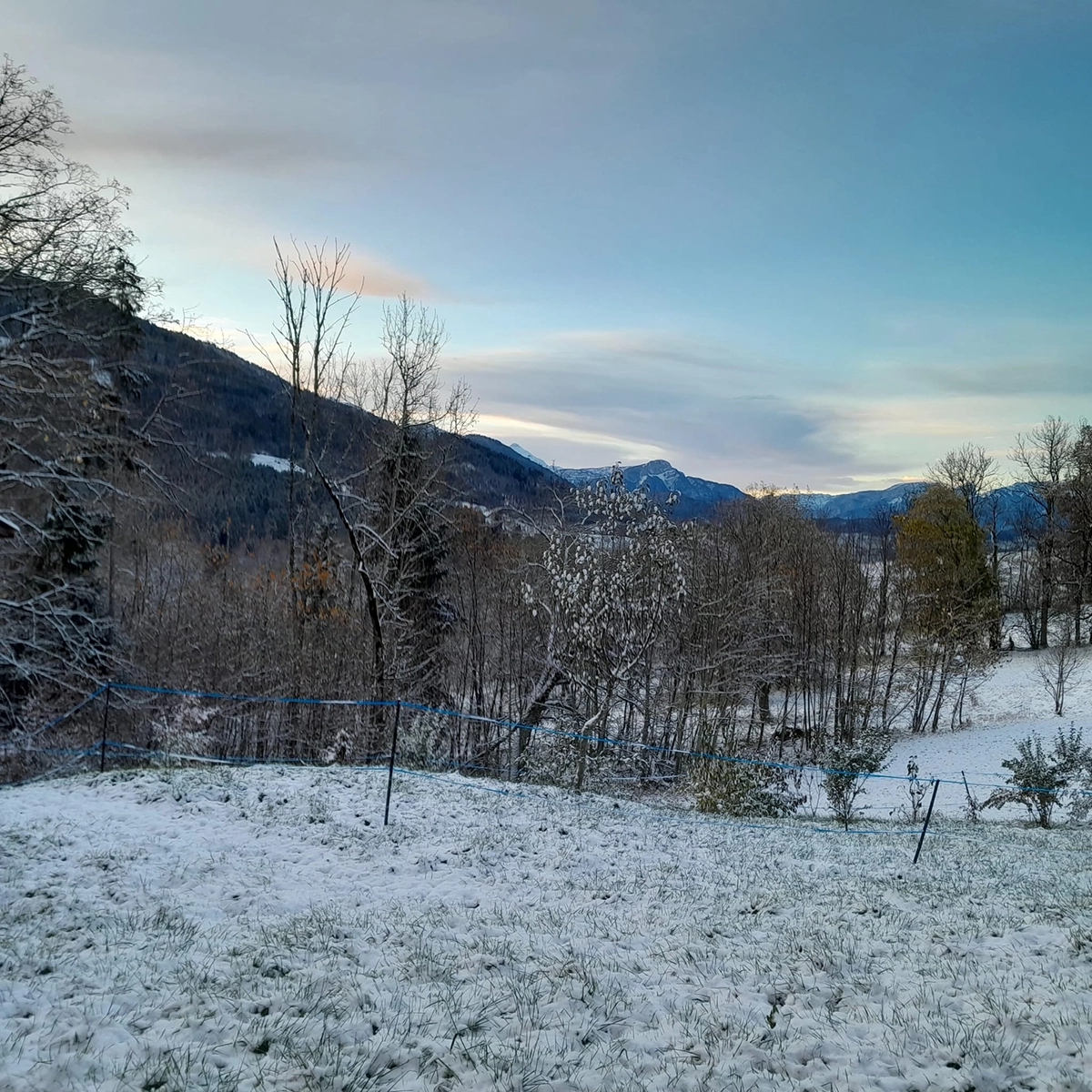 Vue depuis le jardin