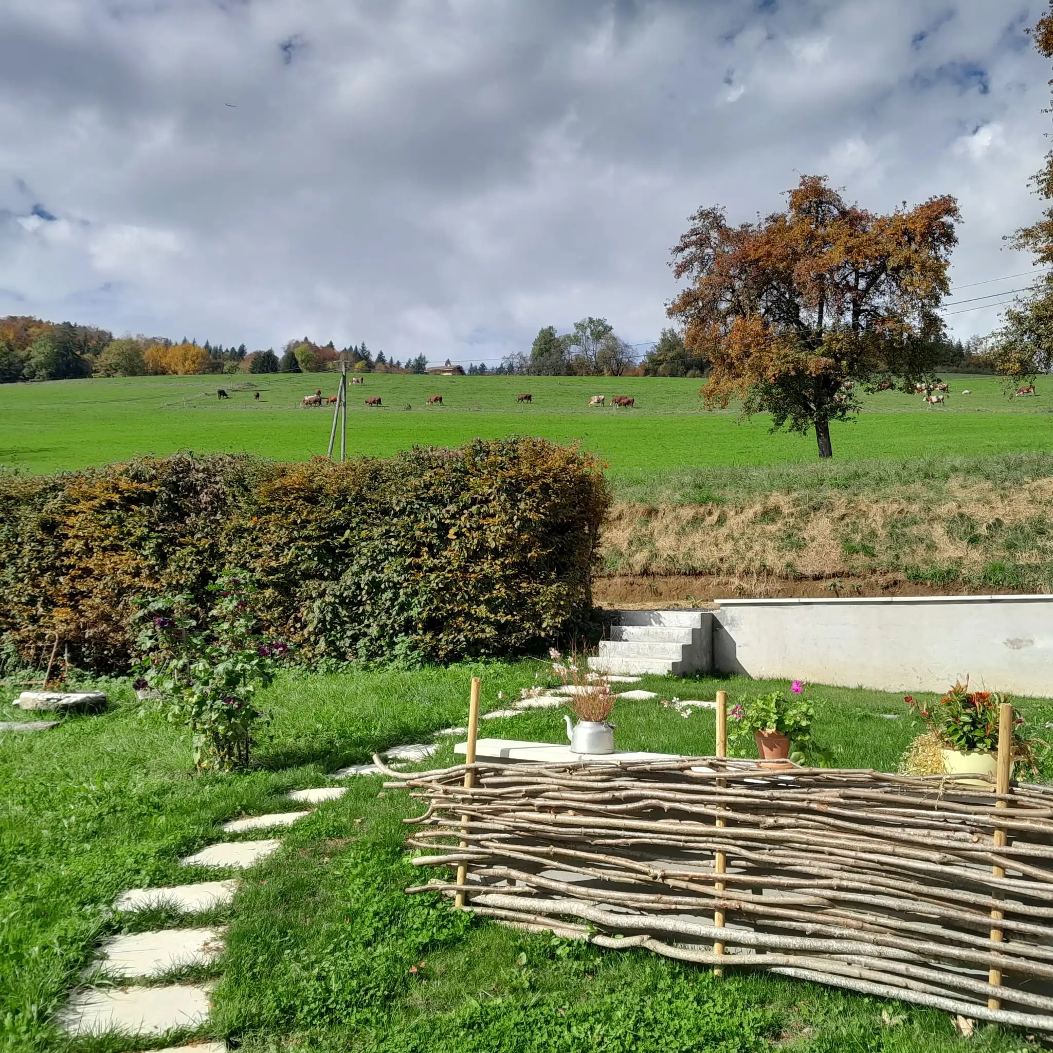 Les champs au dessus du gîte